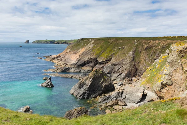 skomer Adası pembrokeshire, puffins için bilinen alana doğru sahne Galler Sahili