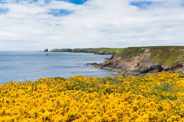 Ουαλία παράκτια σκηνή προς skomer νησί pembrokeshire — Φωτογραφία Αρχείου