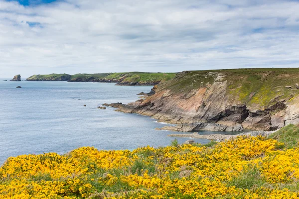 Wales pobřežní pohled směrem k skomer ostrov pembrokeshire — Stock fotografie