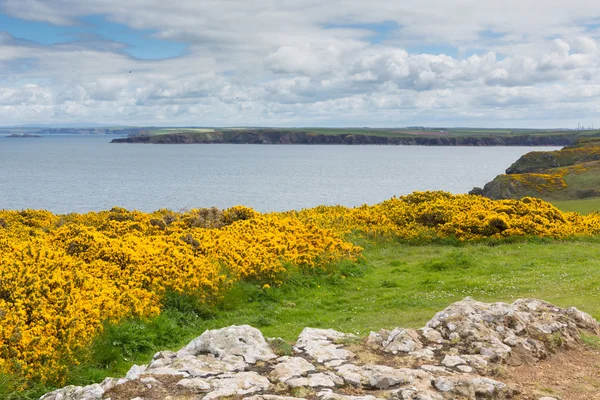 Pembrokeshire cena costeira em direção a St Brides Bay Wales — Fotografia de Stock