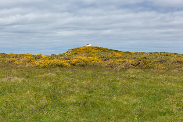 Kustbevakning station med utsikt över kusten av skomer ön västra wales — Stockfoto