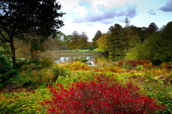 Fiori ricchi e colorati in autunno in un giardino all'inglese — Foto Stock