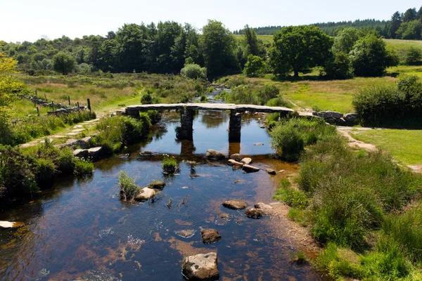 Вид з Postbridge національного парку Дартмур Девон Англії Великобританії — стокове фото