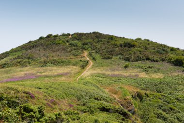 siyah kafa headland st austell koyu porthpean ve pentewan st austell cornwall İngiltere'ye yakın arasındaki yolu
