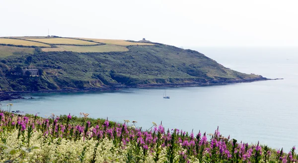 Pohled do hlavy whitsand rame bay cornwall pobřeží Anglie uk — Stock fotografie