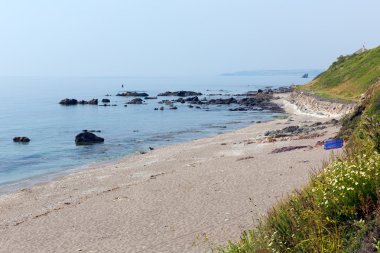 portwrinkle beach whitsand looe cornwall İngiltere Birleşik Krallık defne
