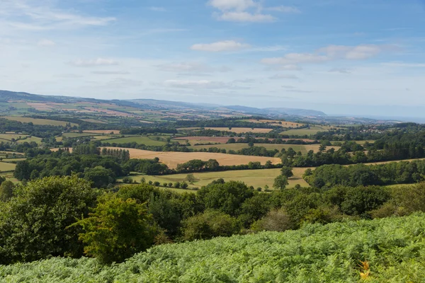 Widok z w Anglii somerset quantock hills — Zdjęcie stockowe