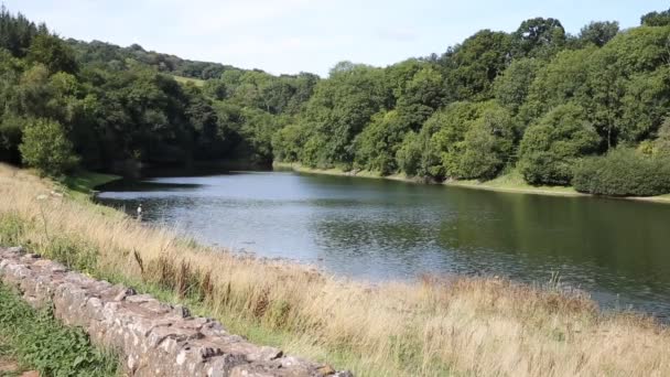 Hawkridge Reservoir Quantock Hügel Salto bekannt für Forellenfischen — Stockvideo