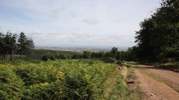 Zona boscosa en Quantock Hills Somerset Inglaterra mira hacia Weston-super-mare y Bristol Channel — Vídeos de Stock