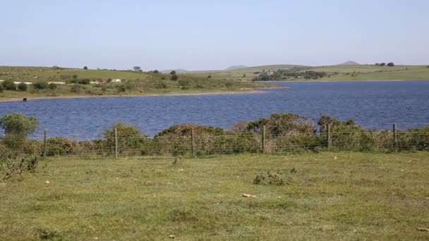 Embalse del lago Colliford Bodmin Moor Cornwall Inglaterra Reino Unido — Vídeo de stock