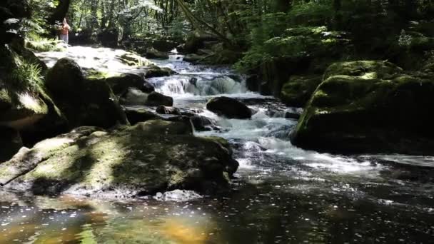 Golitha River Falls Fowey Bodmin Moor Cornwall Anglia, korni turisztikai attrakció — Stock videók