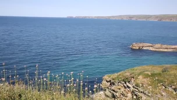 Vista de la costa de Cornualles cerca de Port Isaac Cornwall Inglaterra Reino Unido — Vídeo de stock