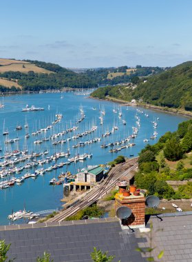 dart nehir dartmouth devon kingswear gelen övünç
