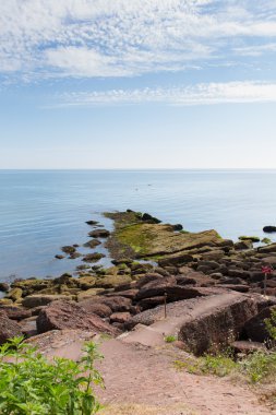 maidencombe plaj ve koyu devon torquay ve teignmouth arasında taşlara