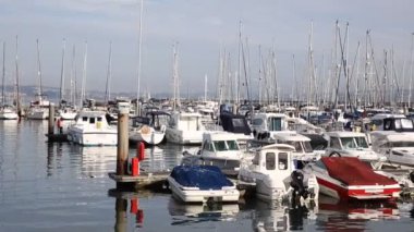 Brixham marina tekne ve yatların devon İngiltere torbay içinde