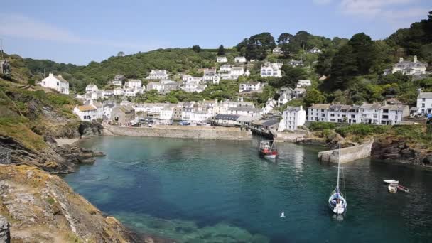 Polperro pescuit sat port Cornwall Anglia Marea Britanie într-o zi frumoasă însorită — Videoclip de stoc