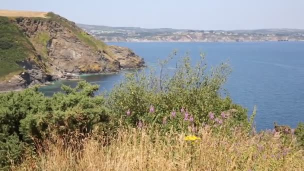 St Austell Bay Cornwall desde Black Head headland cerca de Trenarren entre Porthpean y Pentewan cerca de St Austell Cornwall England en un hermoso día de verano — Vídeos de Stock