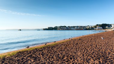 Paignton beach torbay devon İngiltere torquay ve brixham turistik yerlerin yakınında