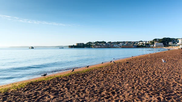 Paignton plaży Torquay devon w Anglii w pobliżu atrakcji turystycznych torquay i brixham — Zdjęcie stockowe