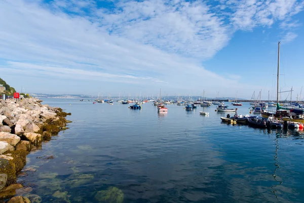 Boats by yacht club Brixham harbour Devon England UK on a calm summer day with blue sky — Stock Photo, Image