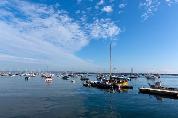Boats by yacht club Brixham harbour Devon England UK on a calm summer day with blue sky — Stock Photo, Image