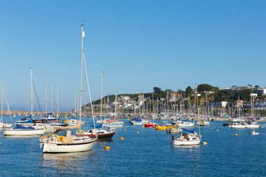 Brixham marina devon İngiltere ile mavi gökyüzü ile sakin bir günde tekneler