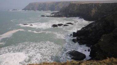 godrevy st Ives, bay cornwall sahil İngiltere İngiltere'de nerede mühürler-ebilmek var olmak seen yanında da navax noktası contalar koyun eti Koyu'ndan göster