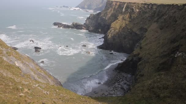 海豹在附近 godrevy st 羊肉湾海滩上的艾夫斯湾康沃尔海岸英国 — 图库视频影像