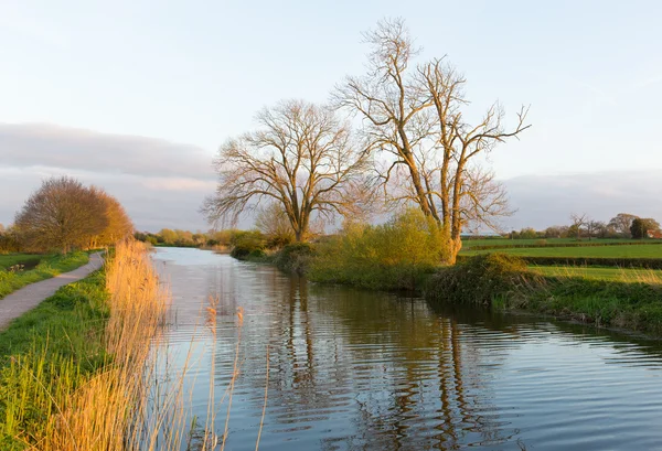 トーントンとブリッジウォーター運河サマセット イングランド イギリス西の国で平和的な水路 — Stockfoto