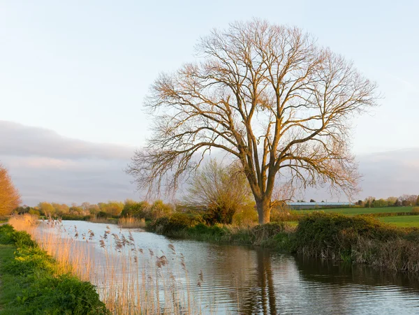 Bridgwater e Taunton Canal Somerset Inghilterra Regno Unito via d'acqua pacifica nel paese occidentale — Foto Stock