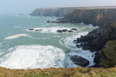 godrevy st Ives, bay cornwall sahil İngiltere İngiltere'de nerede mühürler-ebilmek var olmak seen yanında da navax noktası contalar koyun eti Koyu'ndan göster