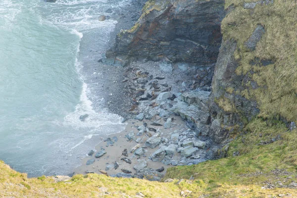 Selos na praia em Mutton Cove perto de Godrevy St Ives Bay Cornualha costa Inglaterra Reino Unido — Fotografia de Stock