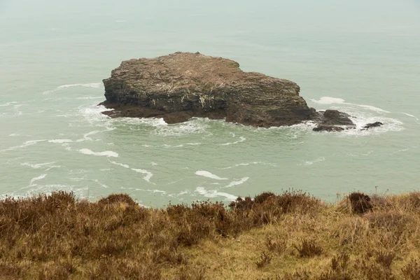 Möwenfelsen Portreath North Cornwall England UK zwischen St. Agnes und Godrevy an der Küste des Kulturerbes — Stockfoto