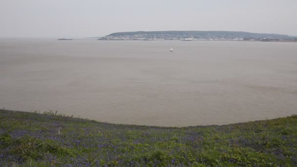 Weston-super-mare bay and bluebells Somerset Inglaterra filmado a partir de Brean Down — Vídeo de Stock