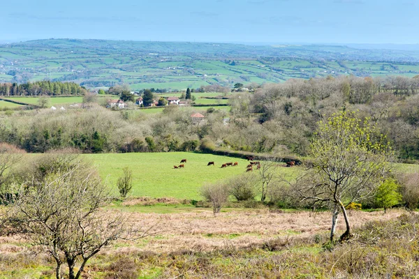 Bekijken van zwart naar beneden de hoogste heuvel in de mendip heuvels somerset in Zuidwest-Engeland naar blagdon meer en kauwen vallei — Stockfoto