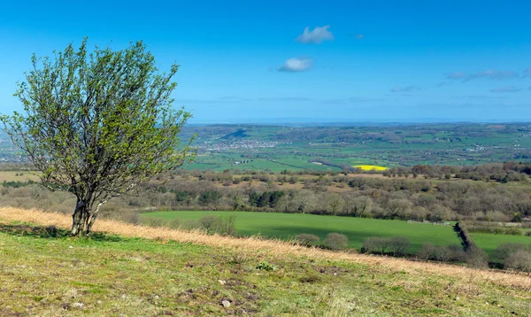 Vista da Black Down la collina più alta delle Mendip Hills Somerset nel sud-ovest dell'Inghilterra verso Blagdon Lake e Chew Valley — Foto Stock