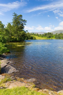 Tarn hows yakınındaki hawkshead Göller Bölgesi Milli Parkı İngiltere İngiltere