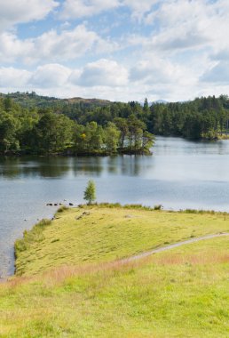 Tarn hows yakınındaki hawkshead Göller Bölgesi Milli Parkı İngiltere İngiltere