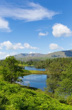 Tarn hows yakınındaki hawkshead Göller Bölgesi Milli Parkı İngiltere İngiltere