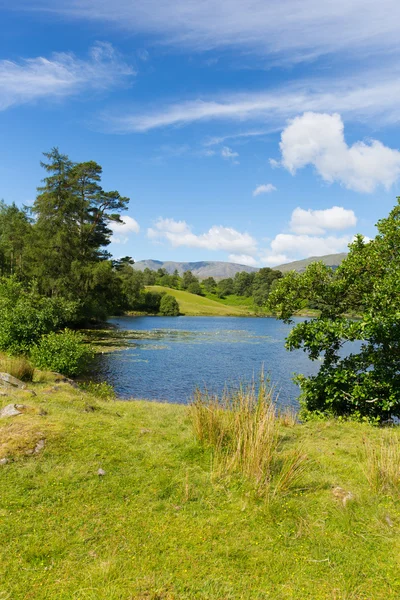 Tarn hows poblíž hawkshead jezerní národní park Anglie uk — Stock fotografie