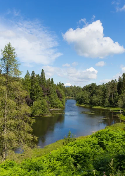 Hows Тарн поблизу Великобританії Англії Hawkshead районі озера національного парку на прекрасний день з сонцем — стокове фото