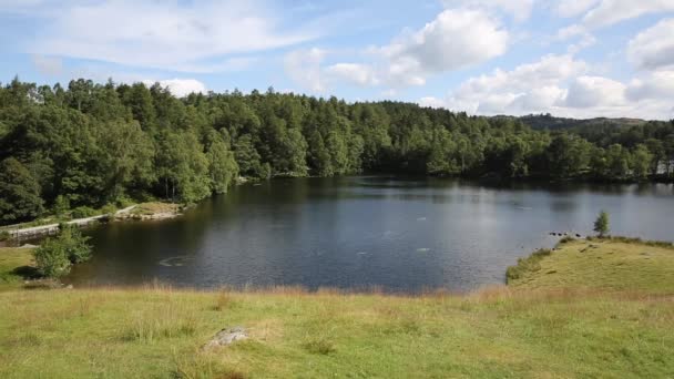 Tarn Hows Lake District Национальный парк Англии uk между Coniston Water и Windermere в прекрасный солнечный летний день — стоковое видео