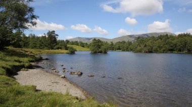 Tarn hows yakınındaki hawkshead Göller Bölgesi Milli Parkı İngiltere İngiltere güzel güneşli yaz gününde