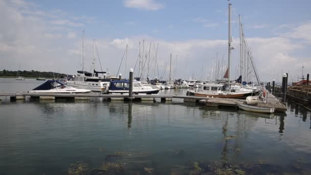 Lymington marina hampshire İngiltere İngiltere new forest yakınındaki solent üzerinde — Stok video