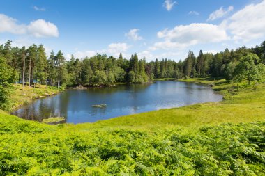 Tarn hows hawkshead yakınındaki göl ilçe Milli Parkı cumbria İngiltere İngiltere