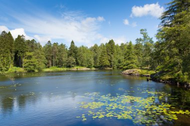 Tarn hows hawkshead yakınındaki göl ilçe Milli Parkı cumbria İngiltere İngiltere