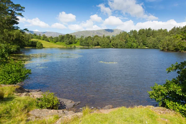 Tarn hows Lake District National Park engeland uk buurt hawkshead — Stockfoto