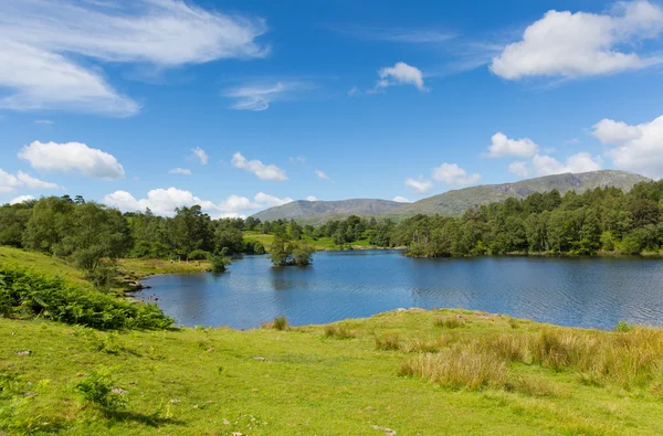Tarn hows Lake District National Park engeland uk buurt hawkshead — Stockfoto