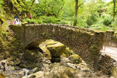 turistler ve tatilcileri aira şelale ullswater valley lake district cumbria İngiltere İngiltere'de köprü ile güzel woodland zorla