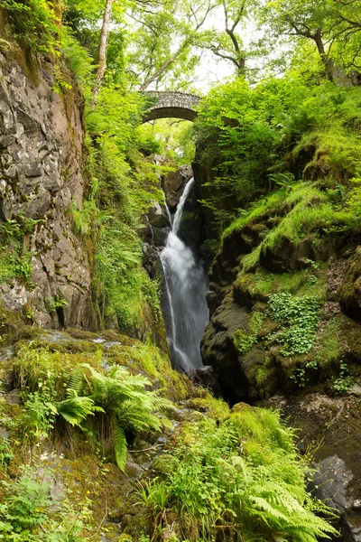 Aira Force waterfall Ullswater Valley Lake District Cumbria England UK in beautiful woodland with bridge — Stock Photo, Image